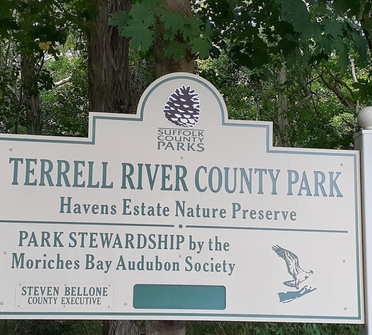 Terrell River County Park (Center&nbspMoriches,&nbspNY)